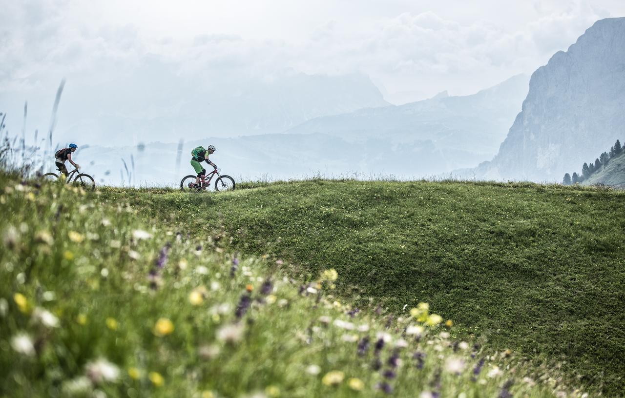 Linder Cycling 3*